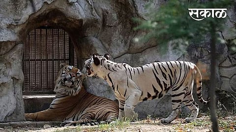 Zoo