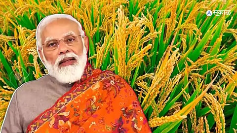 Union Cabinet: मोदी सरकारचा शेतकऱ्यांसाठी मोठा निर्णय! खरीप पिकांच्या MSP मध्ये वाढ