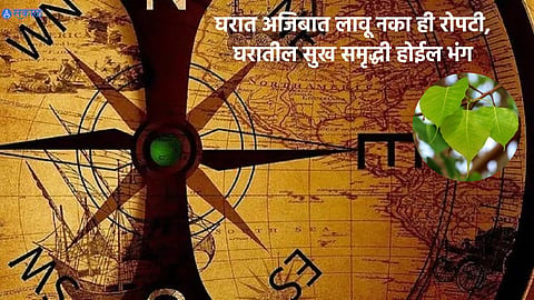 Vastu Tips