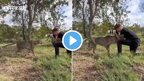 Cheetah Viral Video