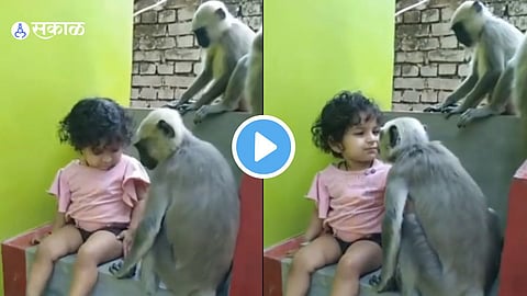 Viral Video