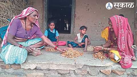 By preparing various products from Mahu flowers provides employment to tribal dhule news
