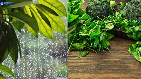 Monsoon Tips