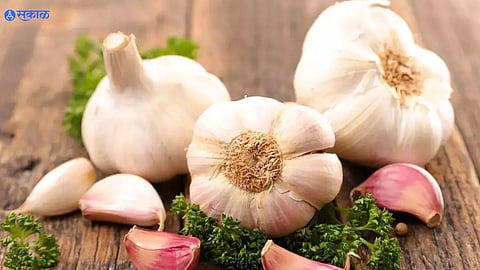 Garlic Use In Summer