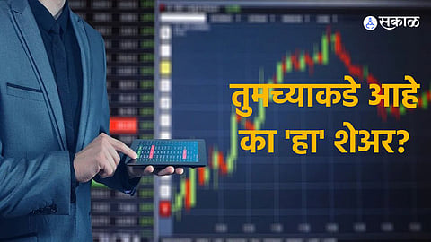 Multibagger Stocks