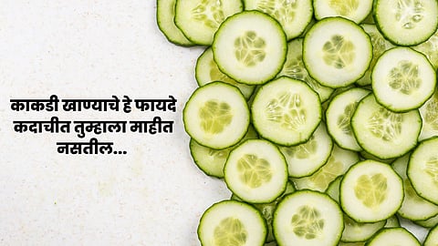 Cucumber