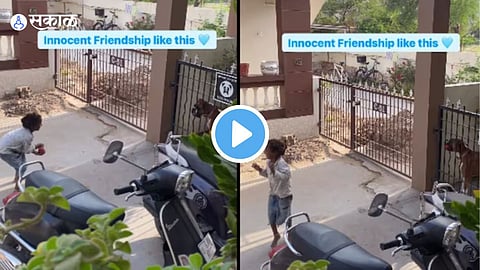 Viral VIdeo