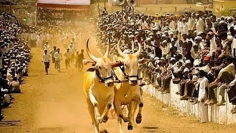 bailgada sharyat