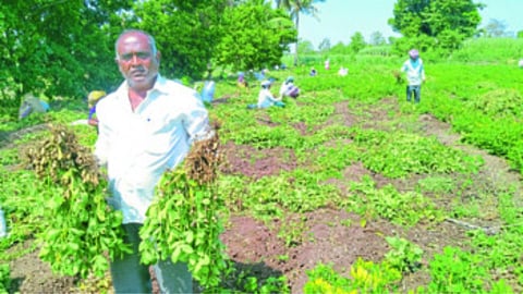 Adhikrao Mane Success Story
