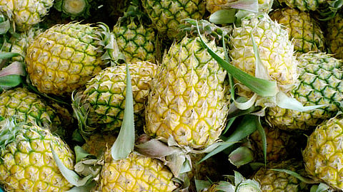 Pineapple Benefits