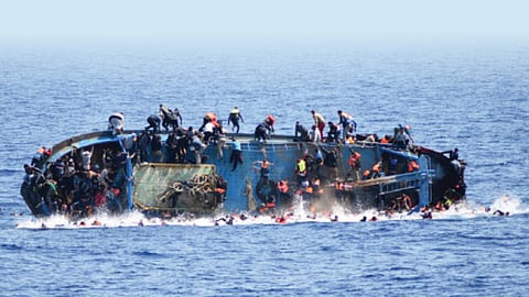 refugee