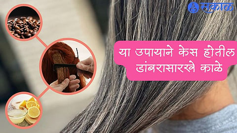 Hair Care Tips