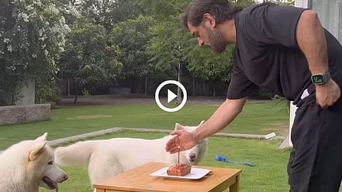 MS Dhoni Cuts Birthday Cake For His Dog