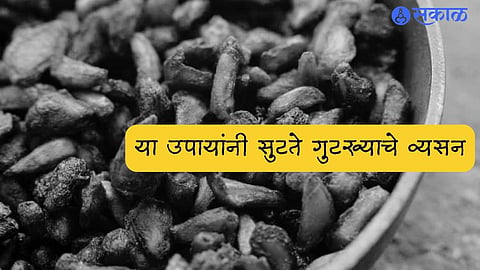 Gutka Eating Habit