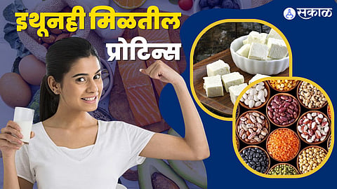 Protein rich vegetarian food