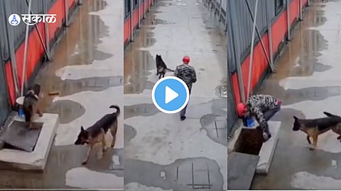 Viral Video