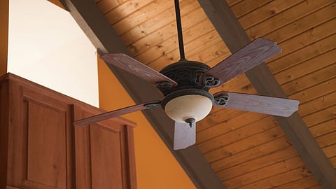 fan
