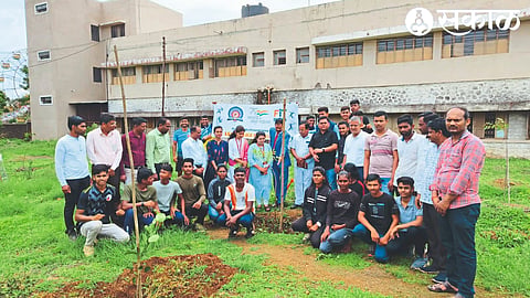 Tree Plantation
