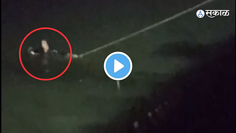 Video VIral