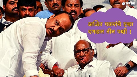 Ajit Pawar Sharad Pawar