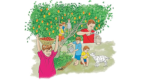 Natural shares of education