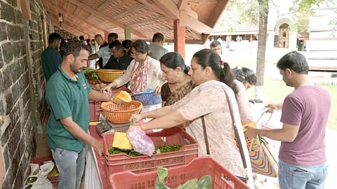 nashik