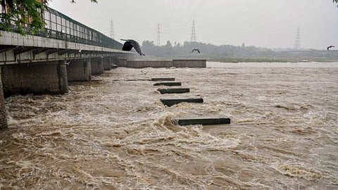 Yamuna river