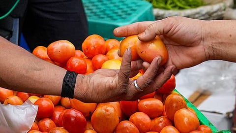 Tomato Price Hike