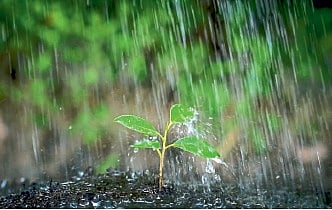 Mansoon Day