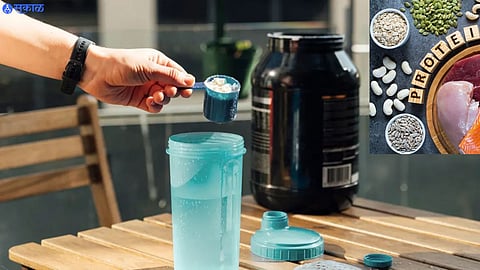 Protein Intake Tips