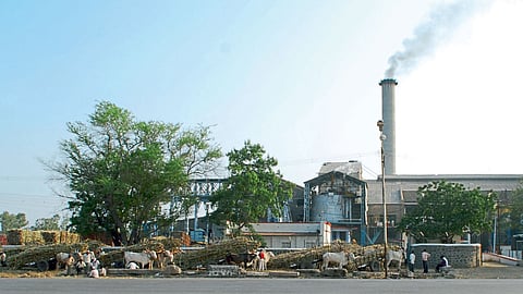 sugar factory