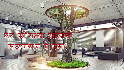 Vastu Tips