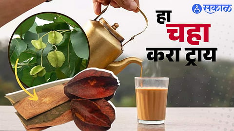 अर्जुनाच्या सालीचा चहा