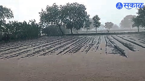 The form of a pond in the field due to heavy rains.