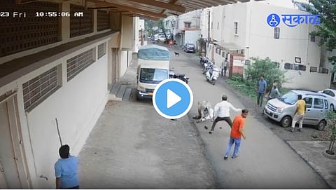 CCTV Footage Viral