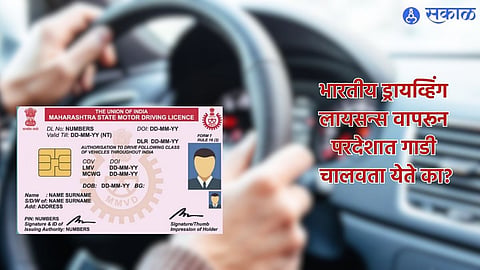 Driving License Types