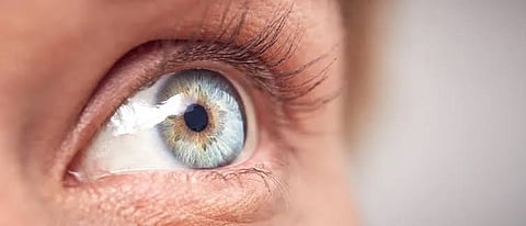 Eyes Work