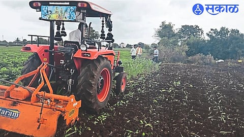 Farmers while turning the rotavator on maize due to lack of flow and expected growth due to rains.