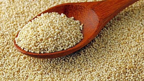 poppy seeds