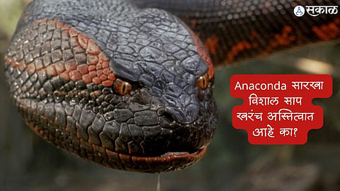 Nag Panchami 2023
