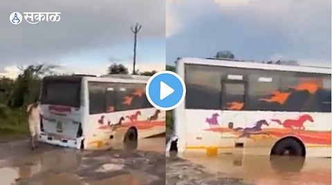 ST Video Viral