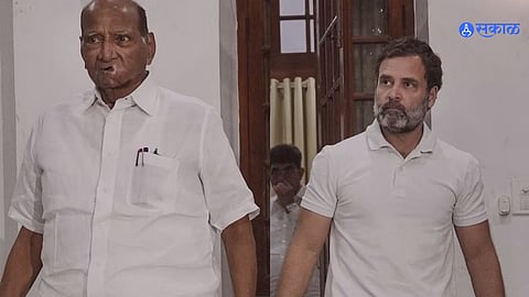 Rahul Gandhi and Sharad Pawar