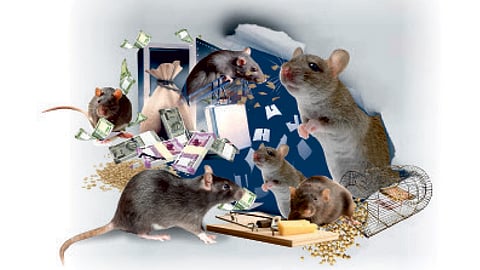 Mouse