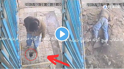 Video Viral