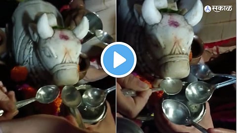 Video Viral