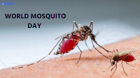 World Mosquito Day