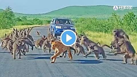 Viral Video