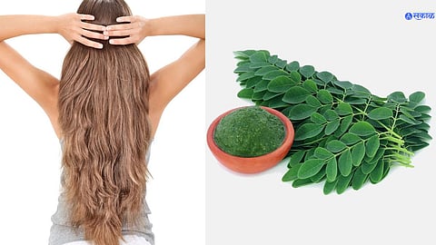 Hair Care Tips