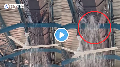 Video Viral