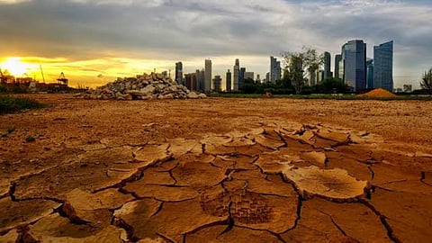 Humans Disappear From Earth